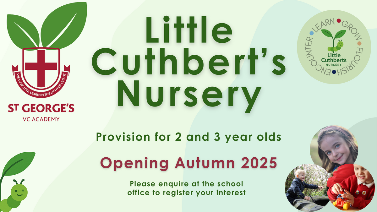 Little Cuthberts website or screen image SGS